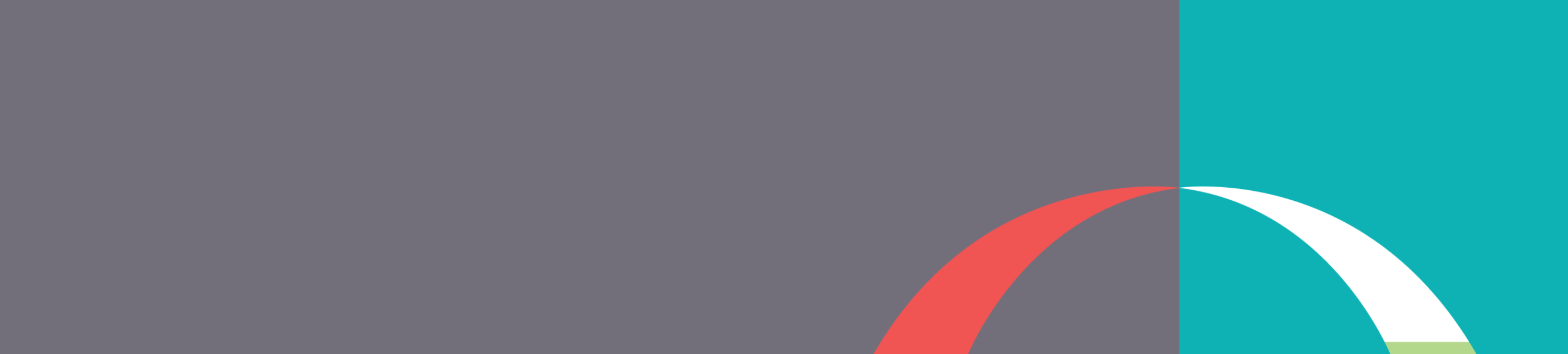 O'Rielly & Roche LLP|Resources